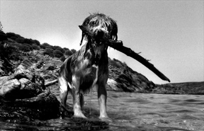 Diga�m de qu&egrave; treballes i et dir&eacute; com ets